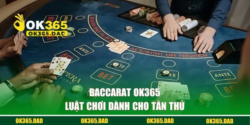 Luật chơi dành cho tân thủ