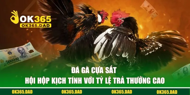 đá gà cựa sắt