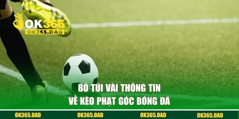 Bỏ túi vài thông tin về kèo phạt góc bóng đá